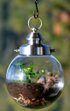 Hanging Terrarium Container