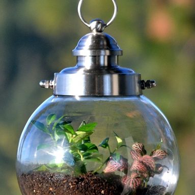 Hanging Terrarium Container