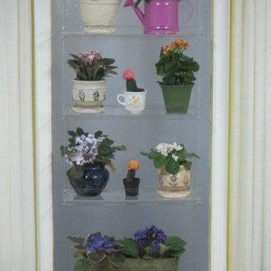 Hanging Window Plant Shelves