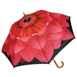 Dahlia Cane Automatic Open Umbrella