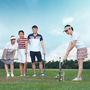 Harvil Complete Six-Player Croquet Set with Mallets, Balls, Stake Posts, Wickets and Carrying Case