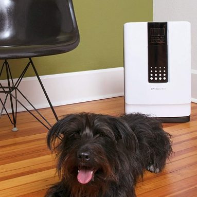 Hathaspace Smart True HEPA Air Purifier