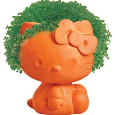 Chia Hello Kitty