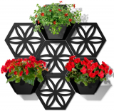 Hex Wall Planter Kit