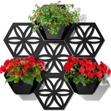 Hex Wall Planter Kit