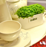 Plant Digital Clock Desktop Technology Digital Wall Clock