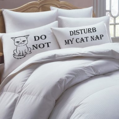 Couples Pillowcase Set  Do Not Disturb My Cat Nap