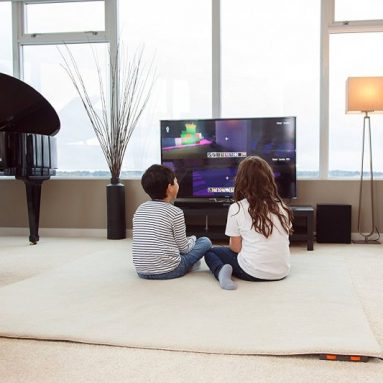 Hot Carpet Woo Warmer Under Rug