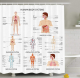 Human Anatomy Shower Curtain