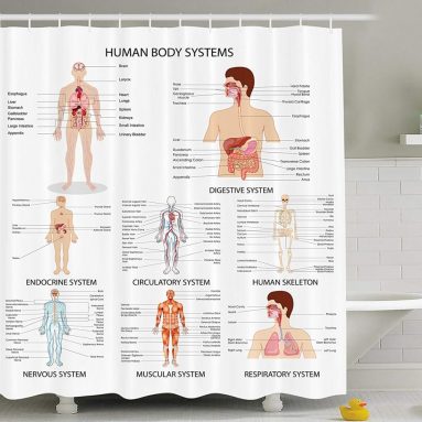 Human Anatomy Shower Curtain