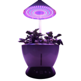 Hydroponic LED Indoor Smart Mini Herb Garden