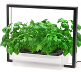 Hydroponics Growing System