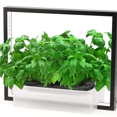 Hydroponics Growing System