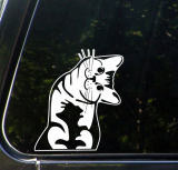 I Can Haz – Car Vinyl Decal Sticker