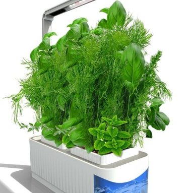 Indoor Hydroponic Herb Garden Kit Lamp