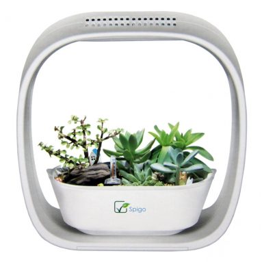 Indoor LED Light Grow Garden