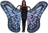 Inflatable Butterfly Pool Float