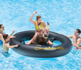 Inflatable Pool Toy
