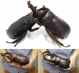 Insect Plush Doll