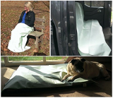 Insect Repellent Treated Blanket/Cover
