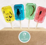 Insect Sucker Lollipop Bundle