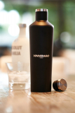 Insulated Stainless Steel Bottle/Thermos