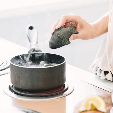 Iron deficiency anemia solution