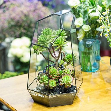 Irregular Prism Glass Geometric Terrarium