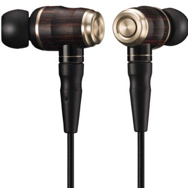 JVC KENWOOD In-Ear Headphones