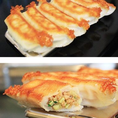 Food Gyoza Case for iPhone 6 Plus