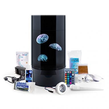 Jellyfish Art Jelly Cylinder Nano