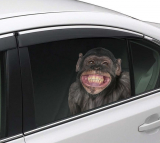 Joy Riders Chimp Window Cling