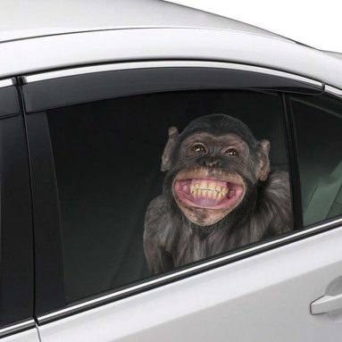 Joy Riders Chimp Window Cling