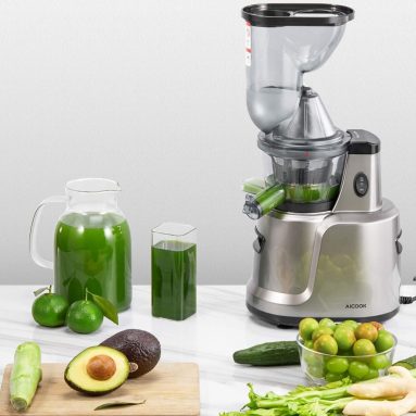 Juicer Masticating Slow Juicer