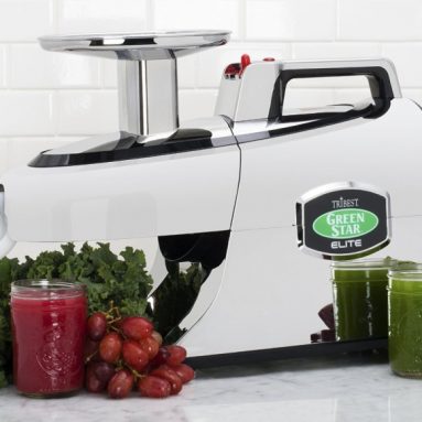 Jumbo Twin Gear Cold Press Juice Extractor