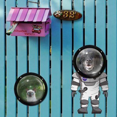 Kenley Pet Dog Fence Peek Window