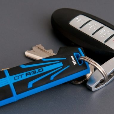 Kingston Digital DataTraveler