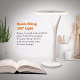 LED Desk Lamp with Circular Lamp Head and Room