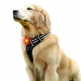 LED Dog Harness – USB Rechargeables  – Illuminated