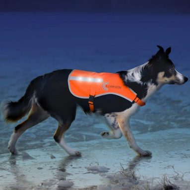 LED Dog Vest | Orange Safety Jacket with Reflective Strips & USB Rechargeable LED Lights