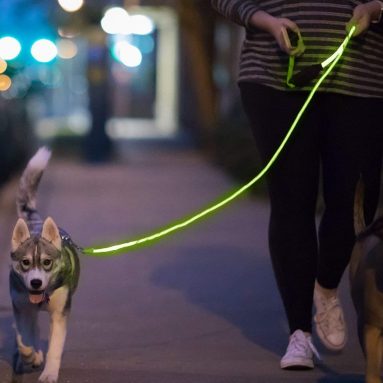 LED Glow in The Dark Pet Dog Leash