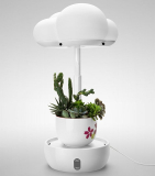 LED Grow Lights for Indoor Plants