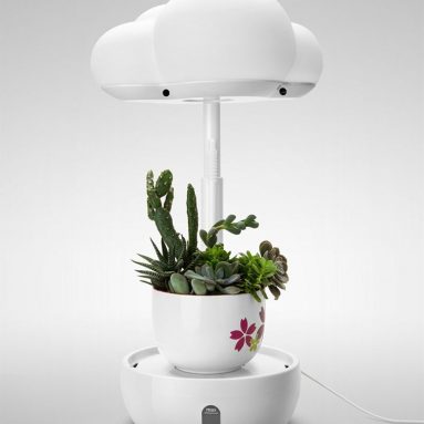 LED Grow Lights for Indoor Plants