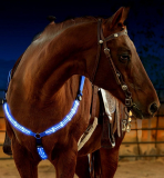 LED Horse Breastplate Collar