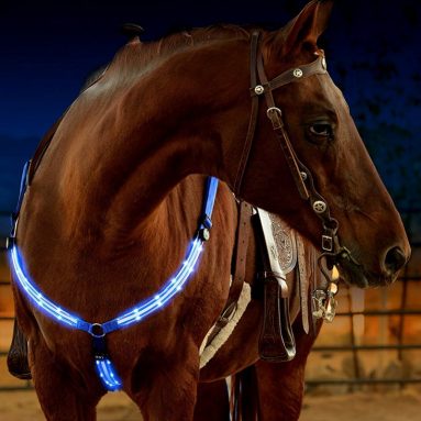 LED Horse Breastplate Collar
