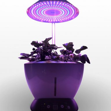 LED Indoor Hydroponics Garden Herb Auto Growing Kit