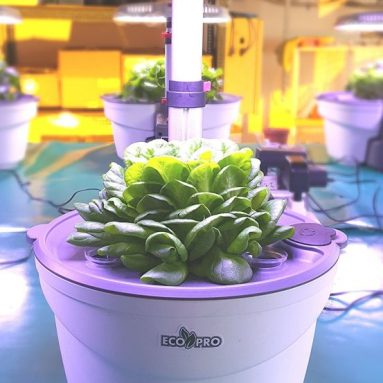 LED Indoor Hydroponics Grower Kit 5 Pod System