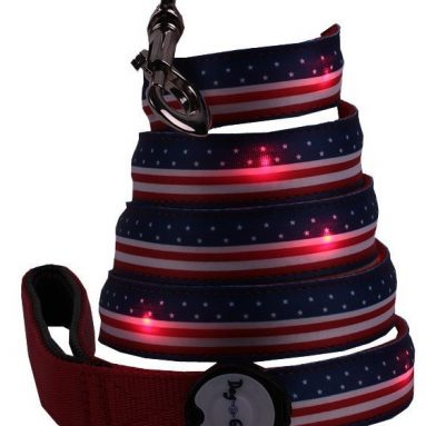 LED Light Up Dog Leash