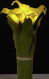 LED Lighted Artificial Flower Calla