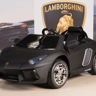 Lamborghini Aventador 12V Kids Ride On Battery Powered Wheels Car RC Remote